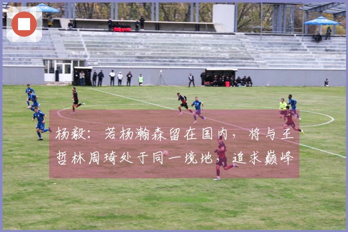 杨毅：若杨瀚森留在国内，将与王哲林周琦处于同一境地，追求巅峰须向姚明学习